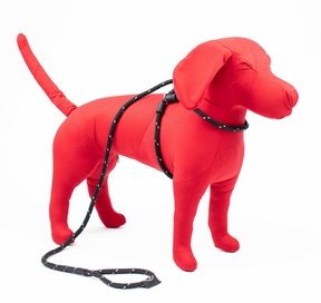 Harness Lead Red REFLECTIVE anti trek / anti ontsnap systeem