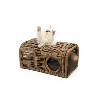 51DN - Palu Cat Lounge - Rattan + Cushion - 65x40x30cm