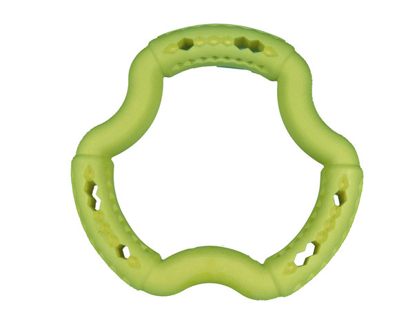 SPEELGOED HOND TPR RING GREEN APPLE 21CM