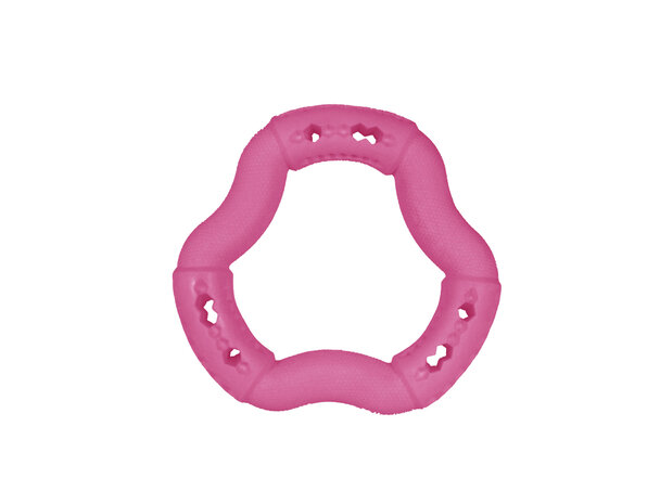 SPEELGOED HOND TPR RING RED FRUTTI 12CM