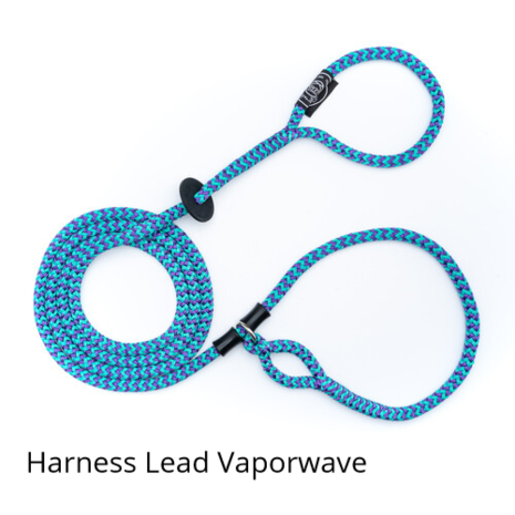 Harness Lead Vaporwave anti trek / anti ontsnap systeem