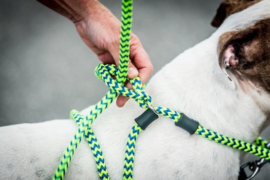 Harness Lead Orange REFLECTIVE anti trek / anti ontsnap systeem