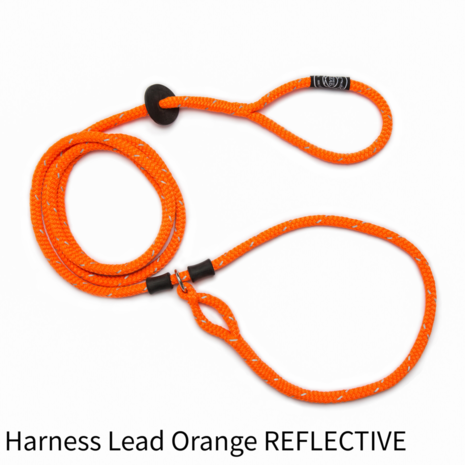 Harness Lead Orange REFLECTIVE anti trek / anti ontsnap systeem