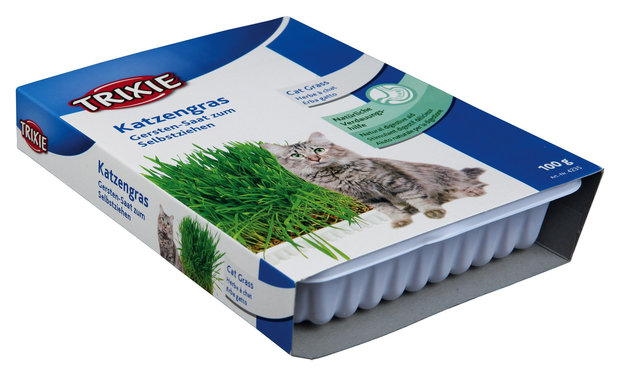 Kattengras Bakje 100gr