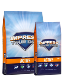 Impress Your Dog Active